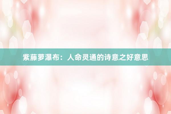 紫藤萝瀑布：人命灵通的诗意之好意思