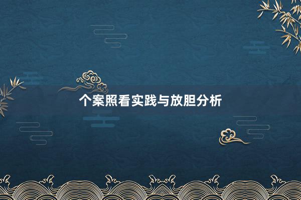 个案照看实践与放胆分析